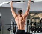 Як збільшити обсяг м'язів грудей Вправи на збільшення м'язів